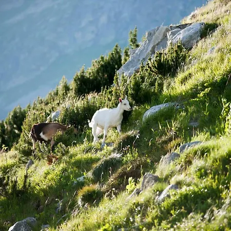 马耳他伯格酒店 马耳他