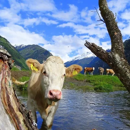 马耳他伯格酒店 酒店 马耳他