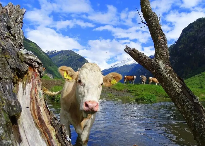 Berghotel Hotel Malta